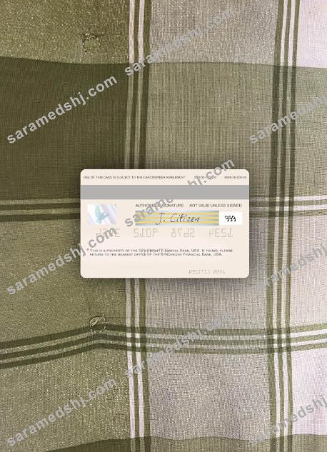 USA Synchrony Financial Bank visa card photolook back
